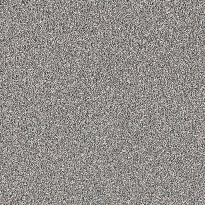 Exceptional II Polyester Stellar 938 Carpet Textured 1