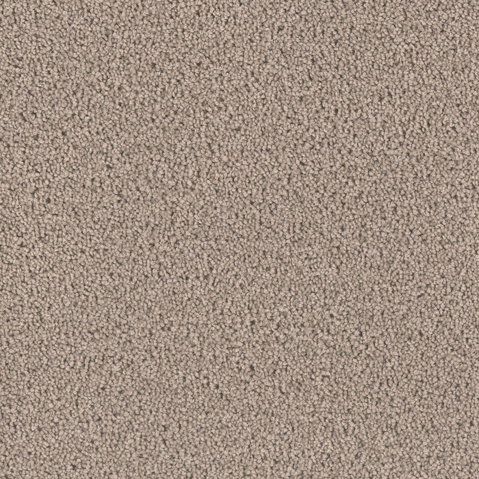 Exceptional II Polyester Castle 945 Carpet Textured 1