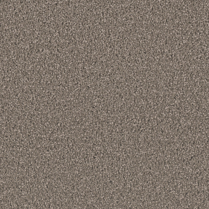 Exceptional II Polyester Riverbed 955 Carpet Textured 1
