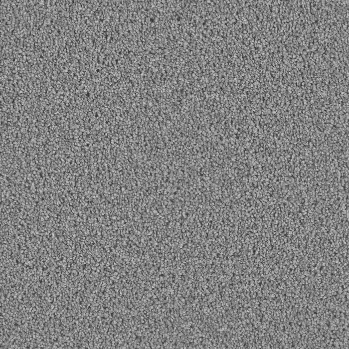 Exceptional II Polyester Bayside 956 Carpet Textured 1