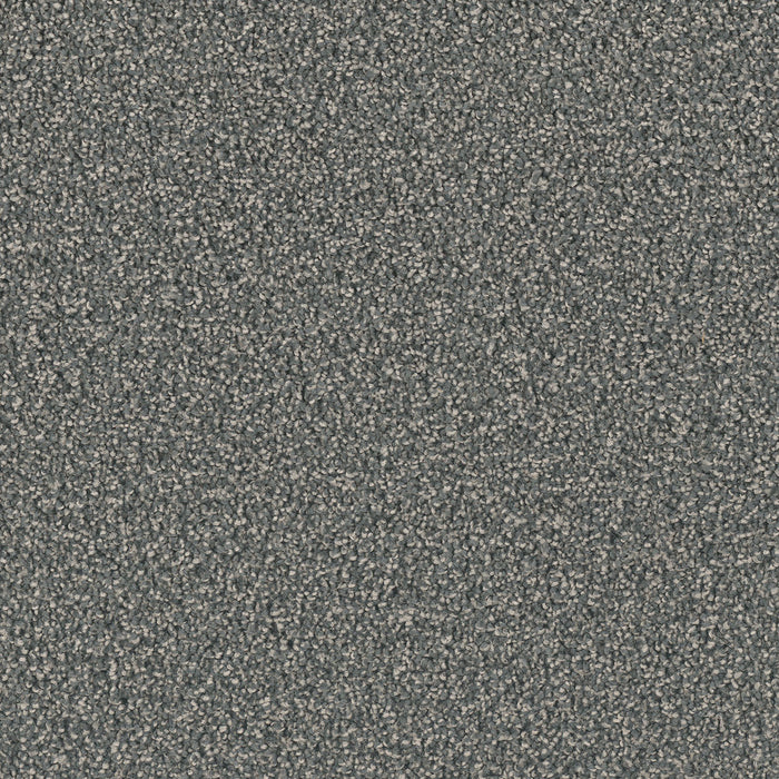 Exceptional II Polyester Electron 972 Carpet Textured 1
