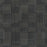 Blockade II Polyester Fortify 3663 Carpet Tile Loop 1