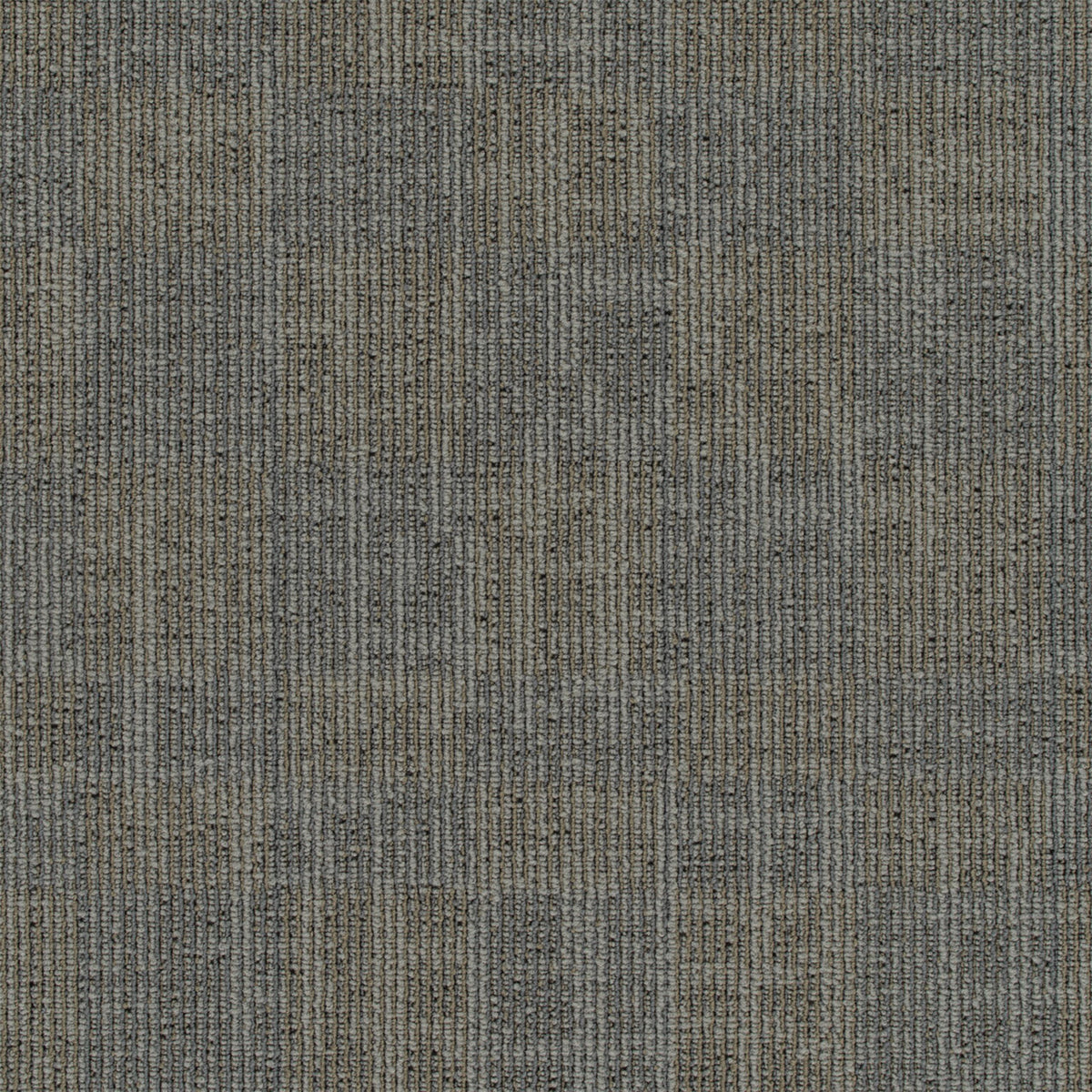 Pentz Commercial Techtonic II 3669 Environment Pattern Polyester