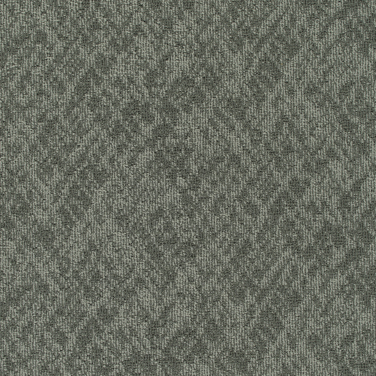 Pentz Commercial Homepage 3535 Domain Pattern Polyester Carpet