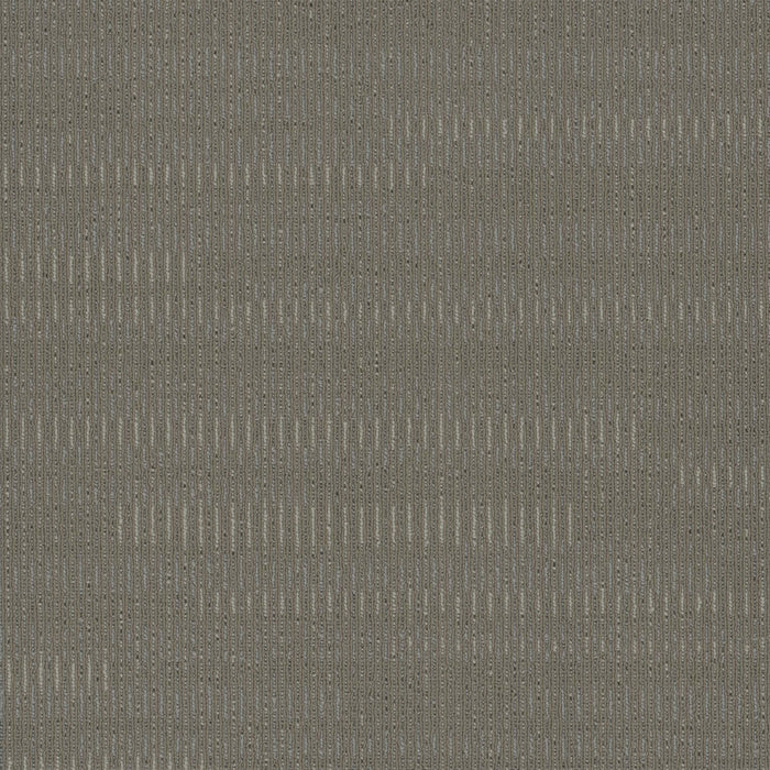 Sidewinder Polyester Arid Gray 2759 Carpet Tile Loop 1