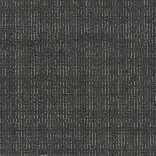 Sidewinder Polyester Obsidian 2767 Carpet Tile Loop 1