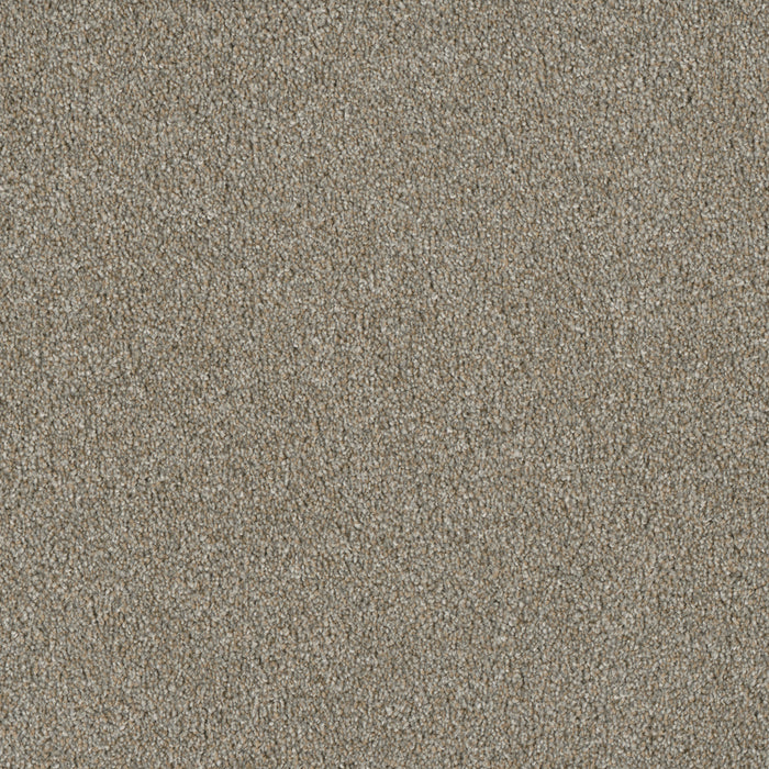 Luxor I Polyester Rhinestone 116 Carpet Textured 1