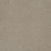 Luxor I Polyester Cameo 174 Carpet Textured 1