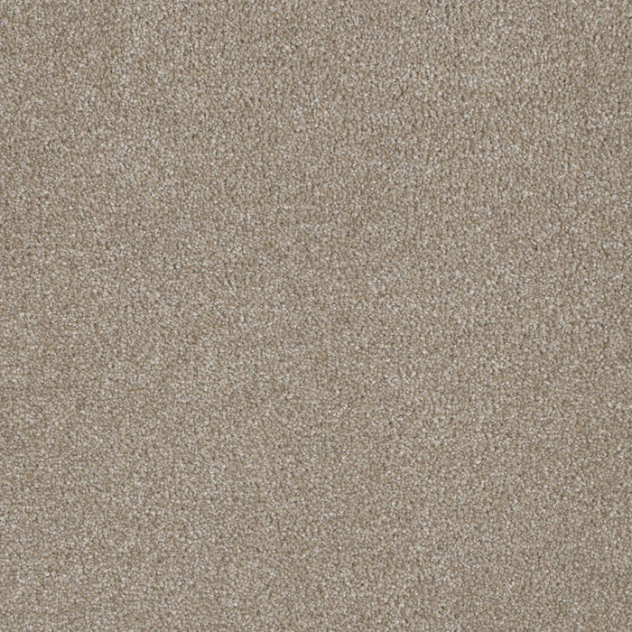 Luxor I Polyester Cameo 174 Carpet Textured 1