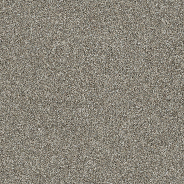 Luxor II Polyester Jet Stream 200 Carpet Textured 1