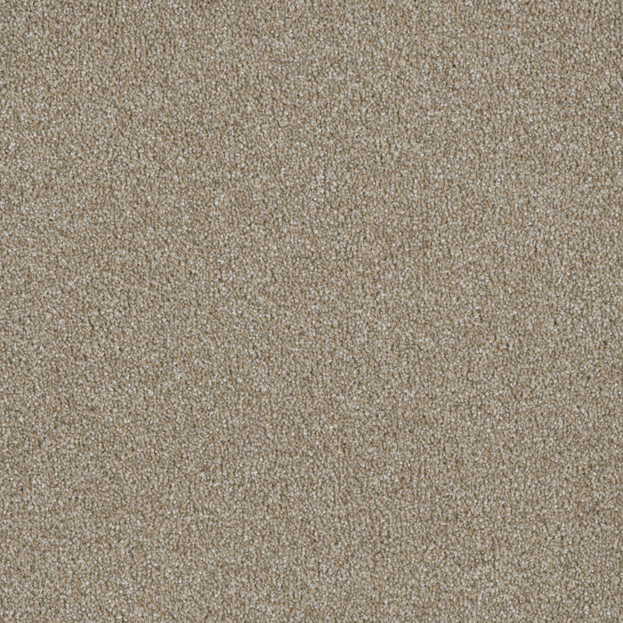 Luxor I Polyester Outback 298 Carpet Textured 1