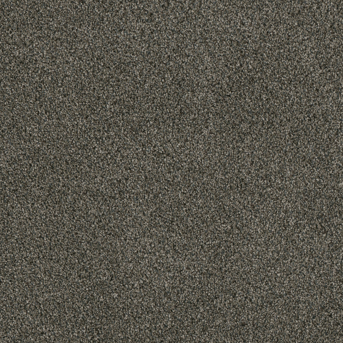 Luxor I Polyester Midnight Shadow 427 Carpet Textured 1