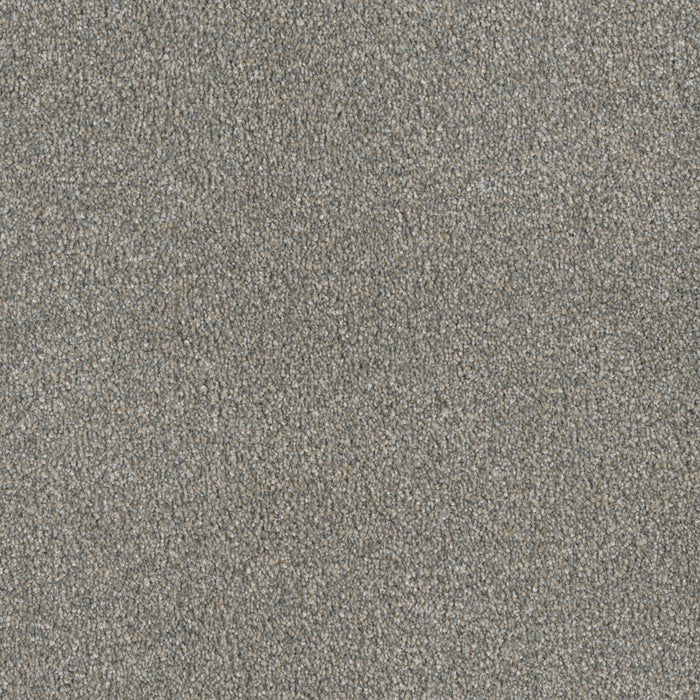 Luxor I Polyester Sandy Trail 495 Carpet Textured 1