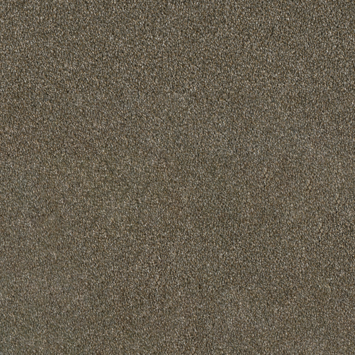 Luxor II Polyester Cinnamon Tea 528 Carpet Textured 1