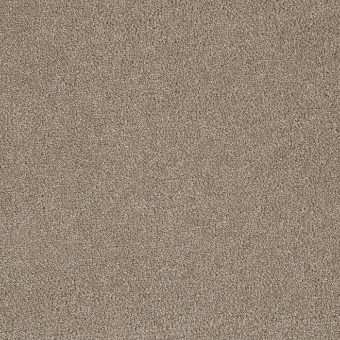 Luxor III Polyester Flax Beige 535 Carpet Textured 1