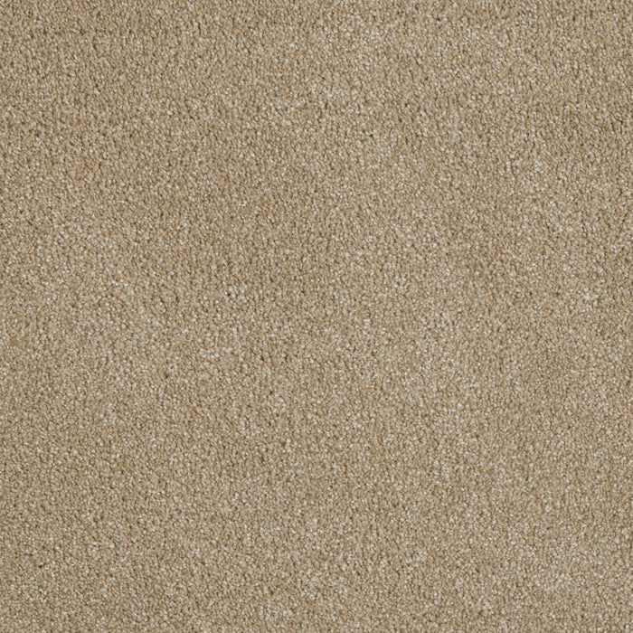 Luxor I Polyester Cashmere 580 Carpet Textured 1