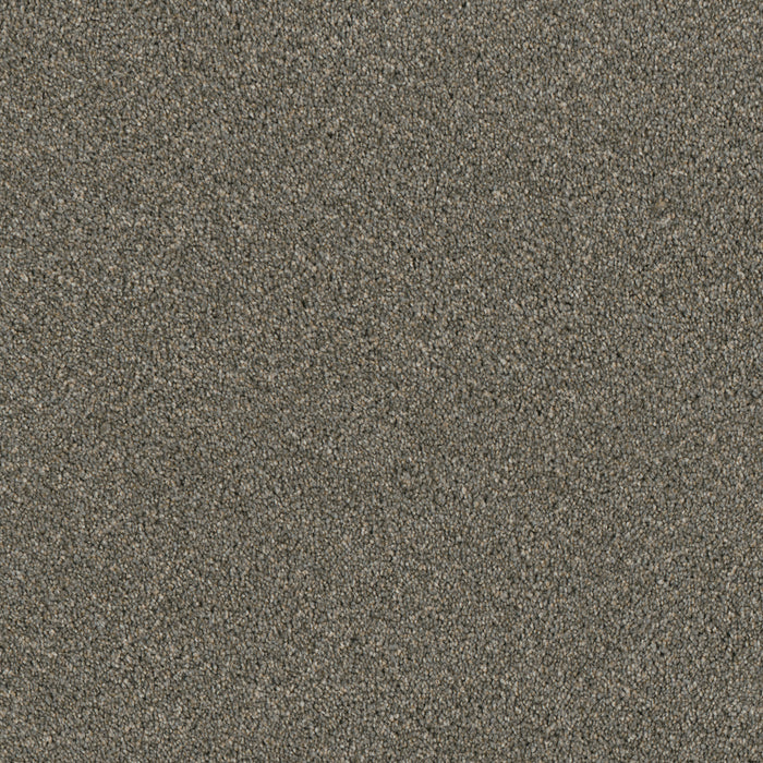 Luxor I Polyester Smooth Sailing 641 Carpet Textured 1