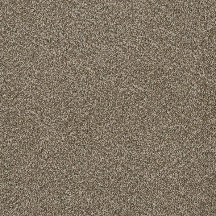 Luxor III Polyester Sienna Sand 680 Carpet Textured 1