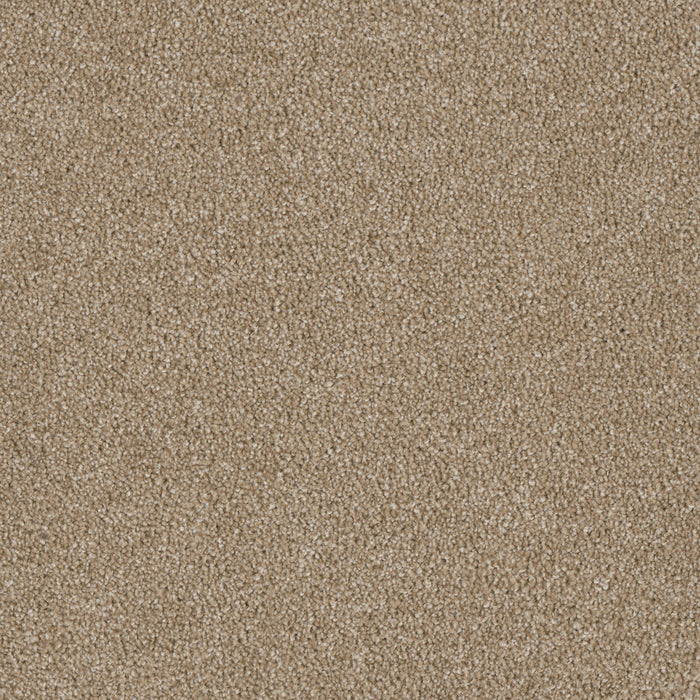 Luxor III Polyester Sawgrass 701 Carpet Textured 1