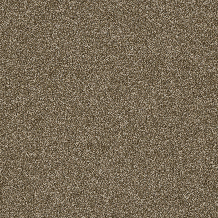 Luxor I Polyester Quail 725 Carpet Textured 1