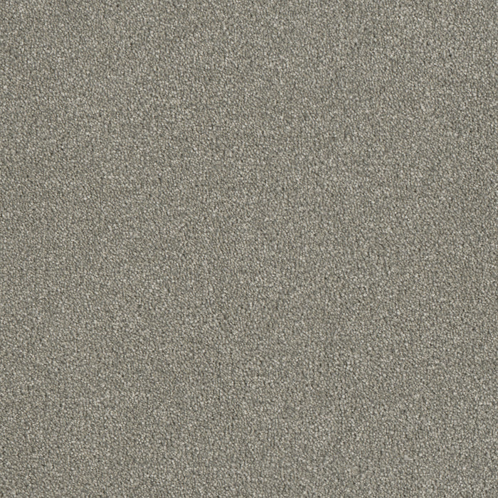 Luxor III Polyester Dove 800 Carpet Textured 1