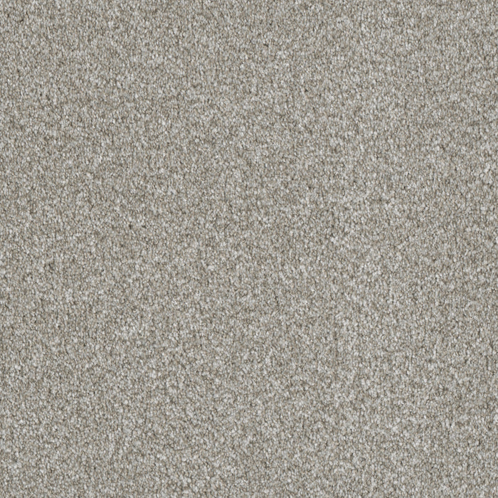 Luxor I Polyester Winterbrooke 898 Carpet Textured 1