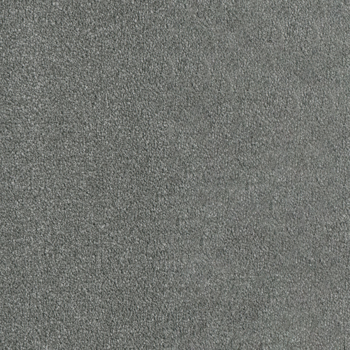 Luxor I Polyester Stellar 938 Carpet Textured 1