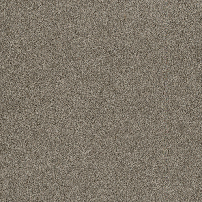 Luxor I Polyester Castle 945 Carpet Textured 1