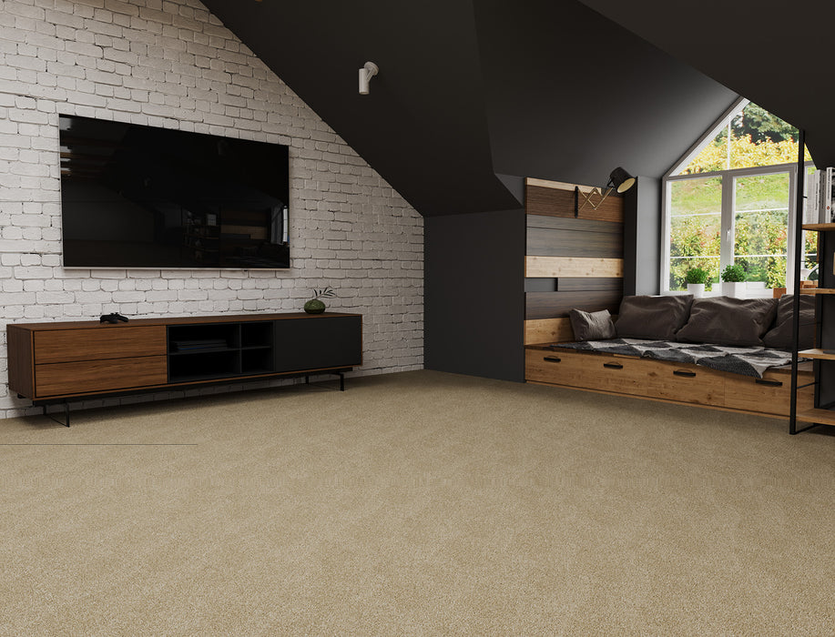 Luxor III Polyester Cashmere 580 Carpet Textured 2