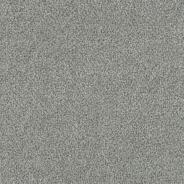 New Dawn I Polyester Chill Out 2414 Carpet Textured 1