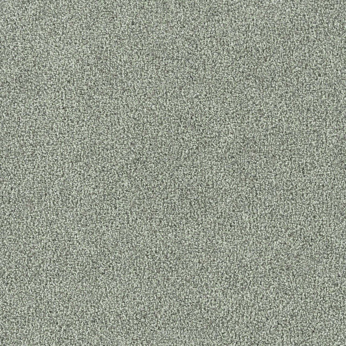 New Dawn III Polyester Fearless 2613 Carpet Textured 1