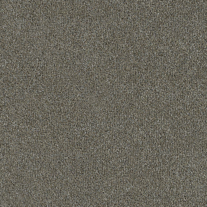 New Dawn III Polyester Wishing Well 2808 Carpet Textured 1