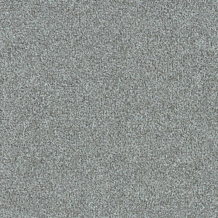 New Dawn I Polyester Splendor 4079 Carpet Textured 1