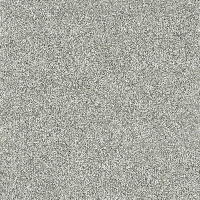 New Dawn III Polyester Altavista 4107 Carpet Textured 1