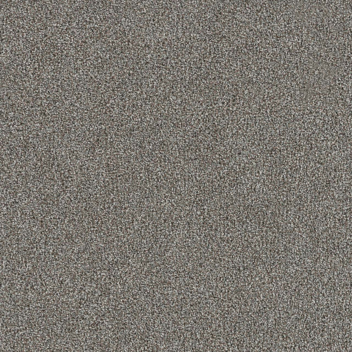 New Dawn II Polyester Cabernet 4116 Carpet Textured 1