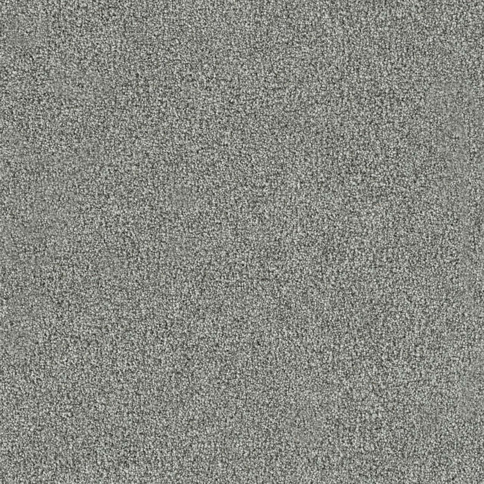 New Dawn I Polyester Big Moment 4253 Carpet Textured 1