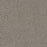 New Dawn III Polyester Trailside 4288 Carpet Textured 1