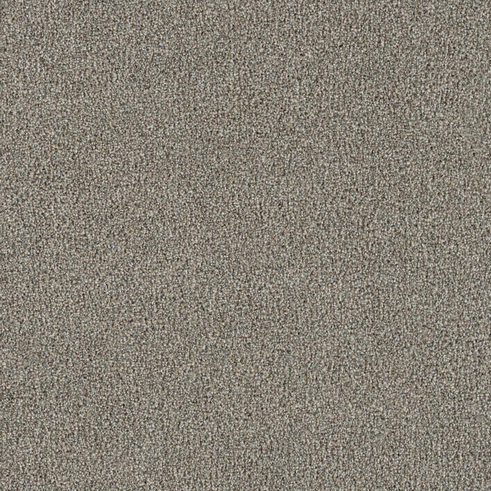 New Dawn III Polyester Trailside 4288 Carpet Textured 1