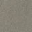 New Dawn I Polyester Sunnyside 4330 Carpet Textured 1