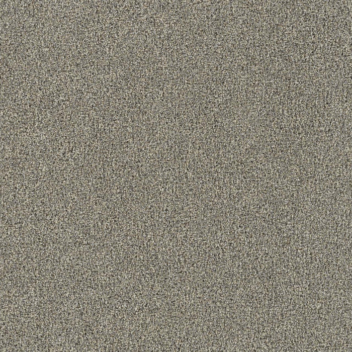 New Dawn I Polyester Sunnyside 4330 Carpet Textured 1