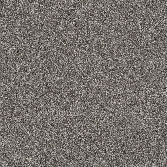 New Dawn III Polyester Lotus 4748 Carpet Textured 1