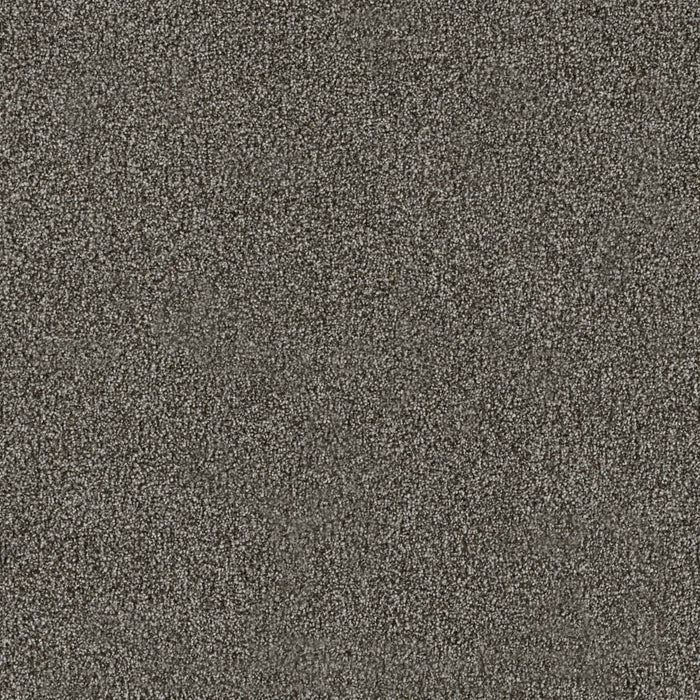 New Dawn I Polyester Woodland 4899 Carpet Textured 1