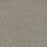 New Dawn I Polyester Whisper 5014 Carpet Textured 1