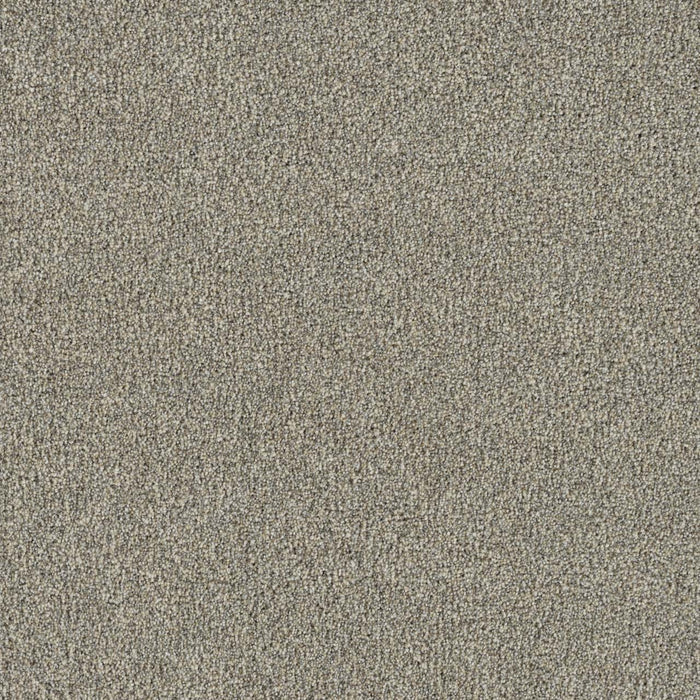 New Dawn III Polyester Whisper 5014 Carpet Textured 1