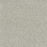 New Dawn I Polyester Fairview 5099 Carpet Textured 1