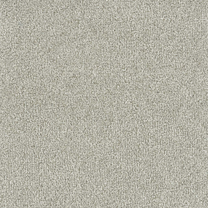 New Dawn III Polyester Fairview 5099 Carpet Textured 1