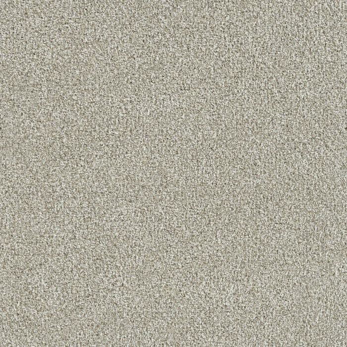New Dawn I Polyester Orchard 5286 Carpet Textured 1