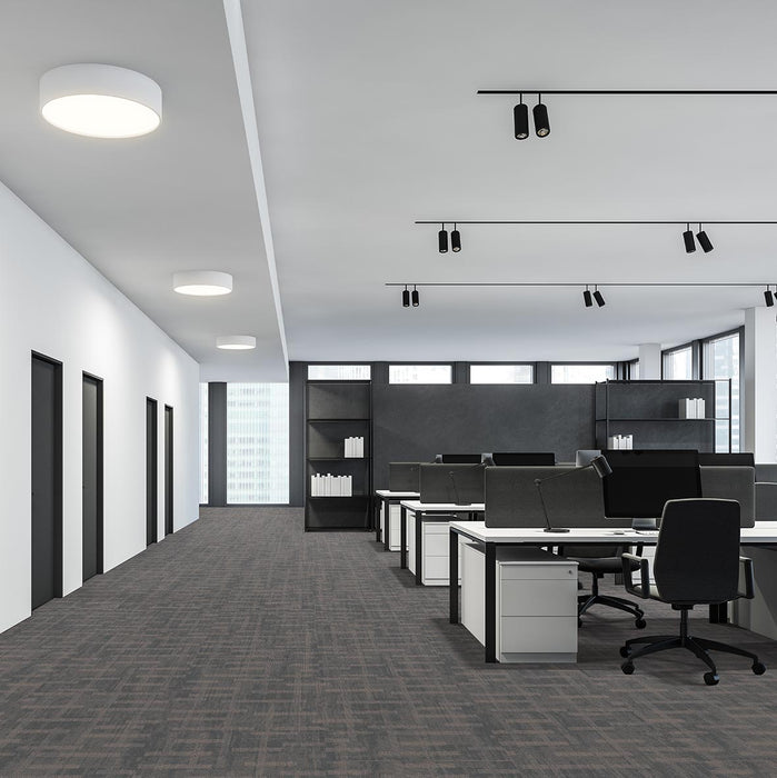 Veritas Polyester Sure Bet 3395 Carpet Tile Loop 2
