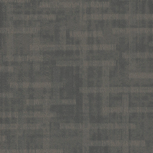 Veritas Polyester Sure Bet 3395 Carpet Tile Loop 1