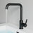 Black Brass Bathroom Faucet 1